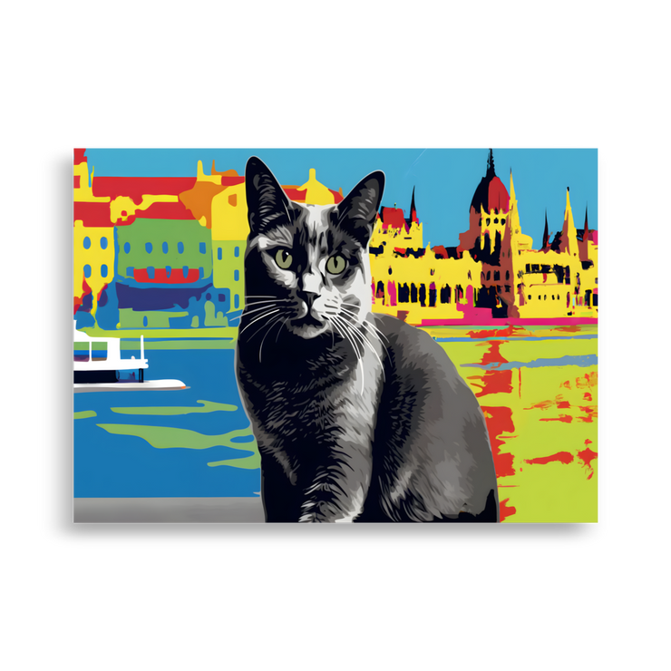 Berci: The Cat on the Danube's Watch