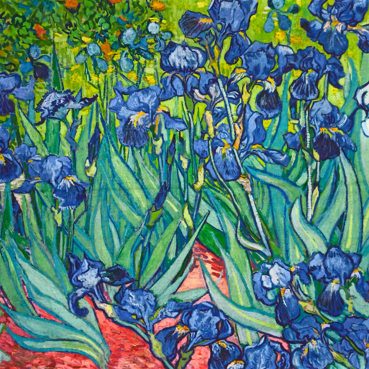 Sciarpa V. Van Gogh Iris